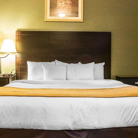 Comfort Inn Whitehall Near Michigan'S Adventure מראה חיצוני תמונה