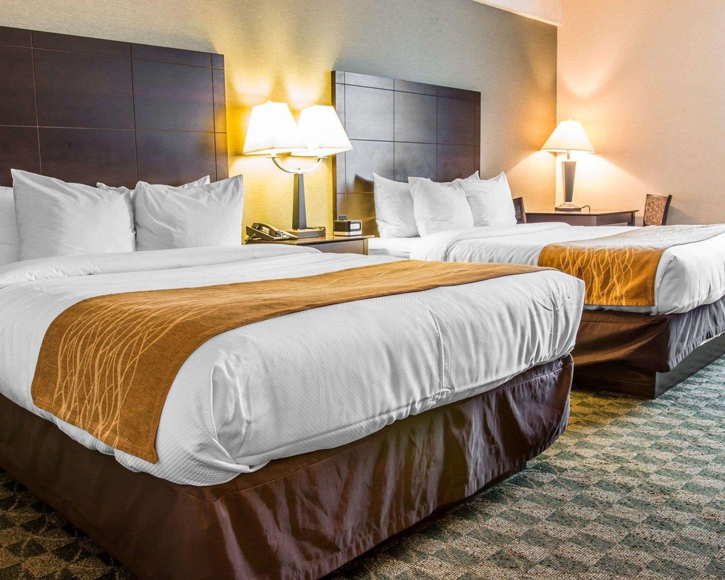 Comfort Inn Whitehall Near Michigan'S Adventure מראה חיצוני תמונה