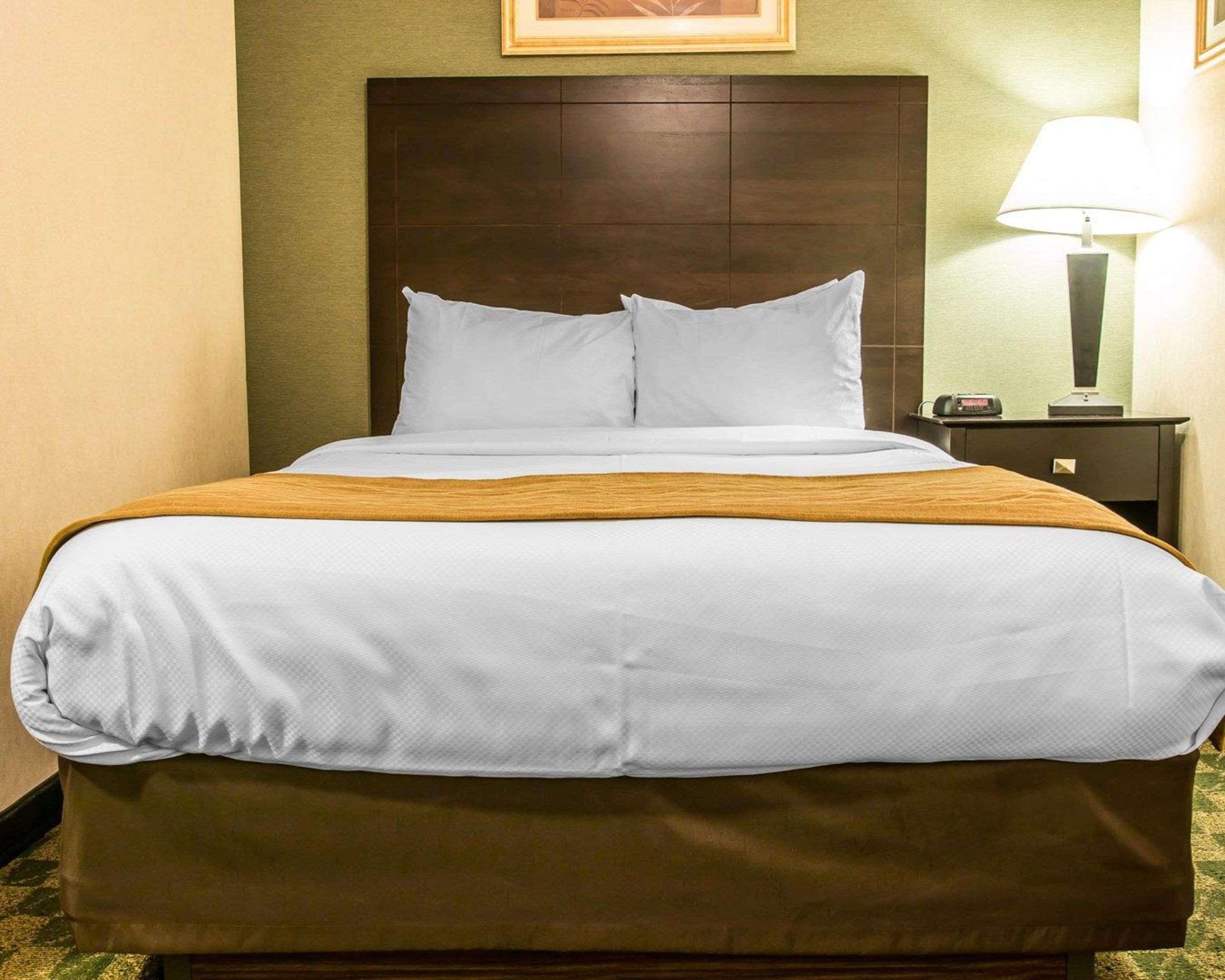 Comfort Inn Whitehall Near Michigan'S Adventure מראה חיצוני תמונה
