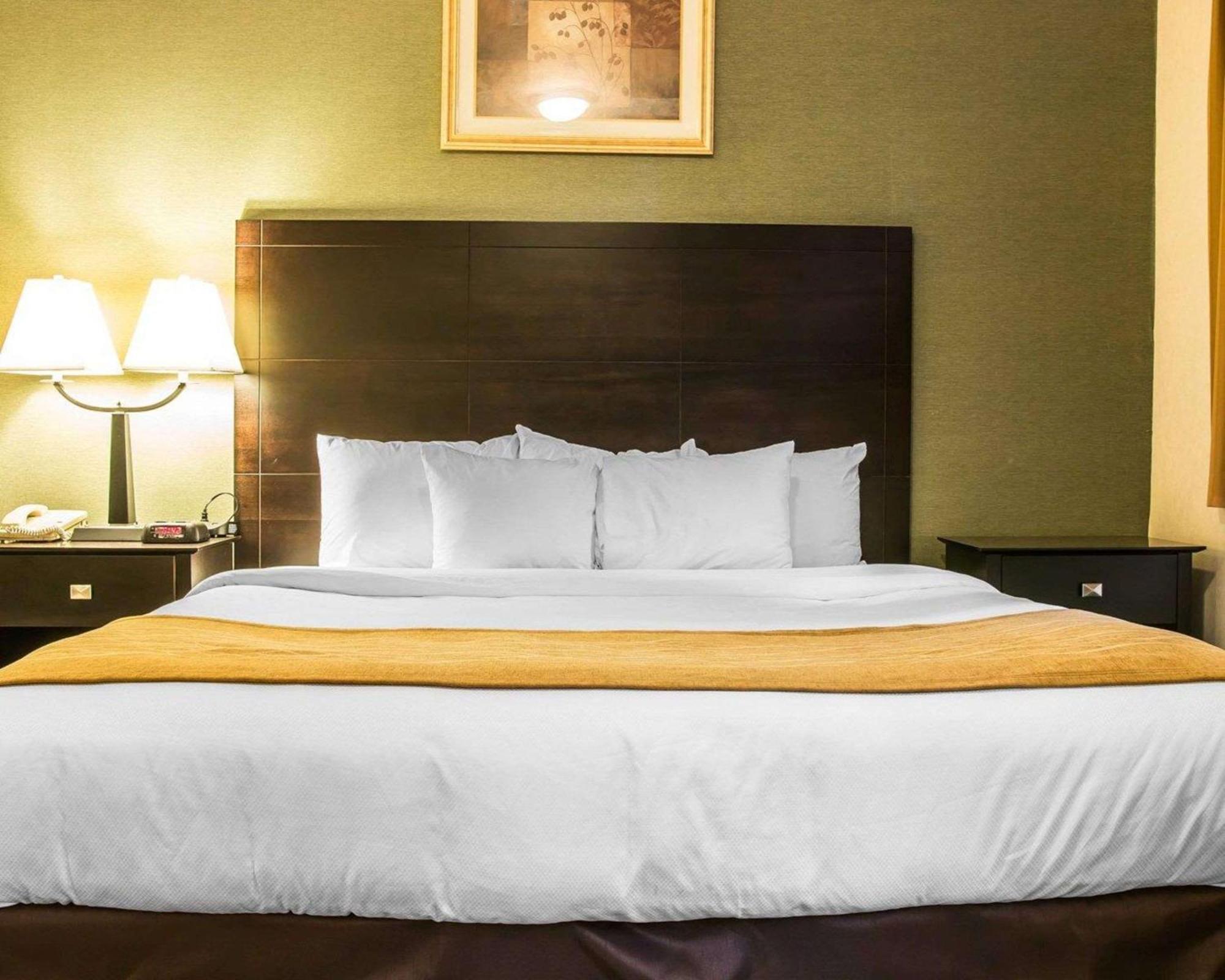Comfort Inn Whitehall Near Michigan'S Adventure מראה חיצוני תמונה