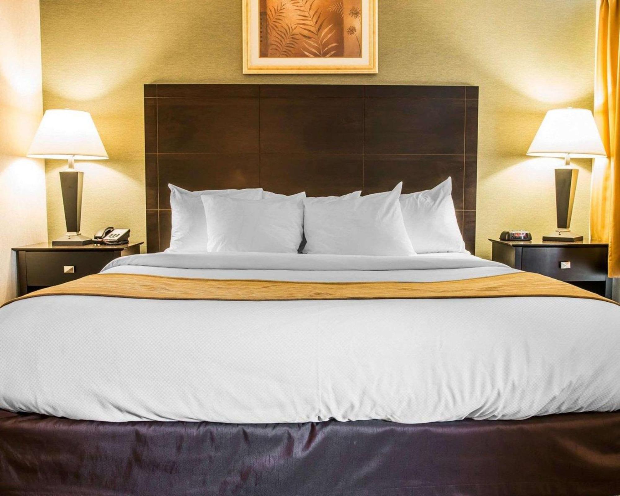 Comfort Inn Whitehall Near Michigan'S Adventure מראה חיצוני תמונה